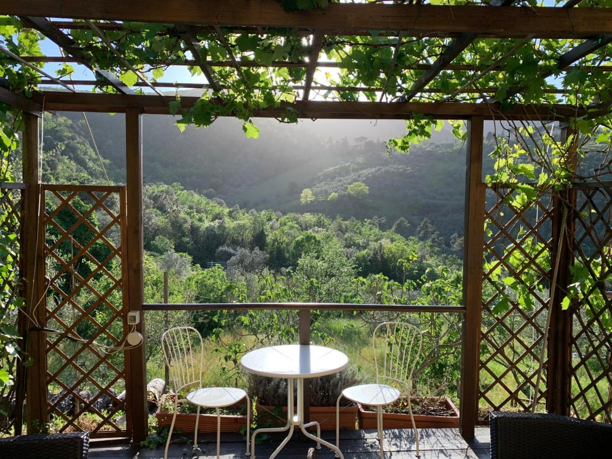Barco Mediceo B&B In Toscana Carmignano Exteriér fotografie